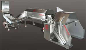 Niko Fruit Processing Line|